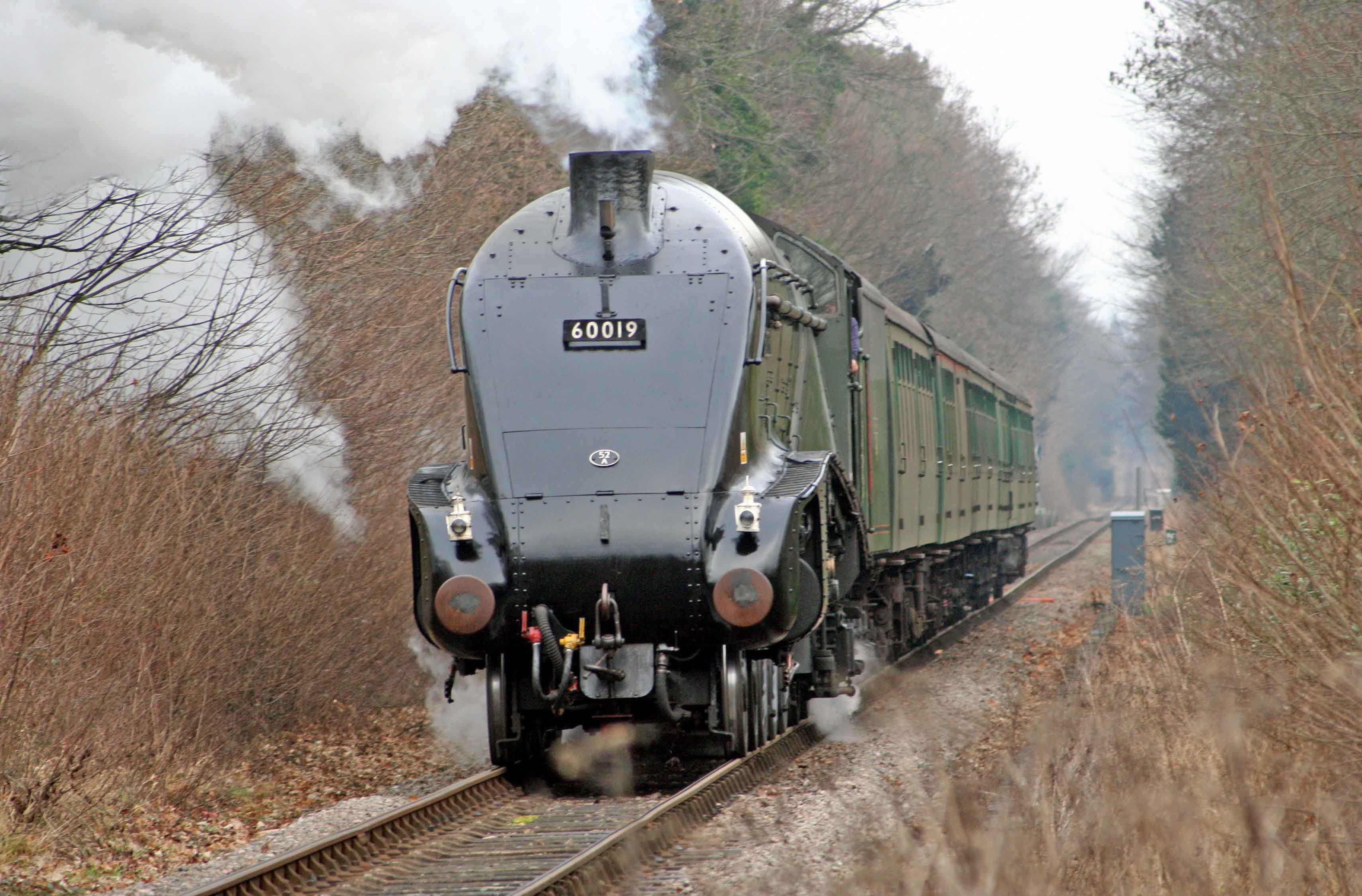 Watercress Line Images